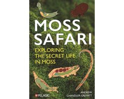 Moss Safari