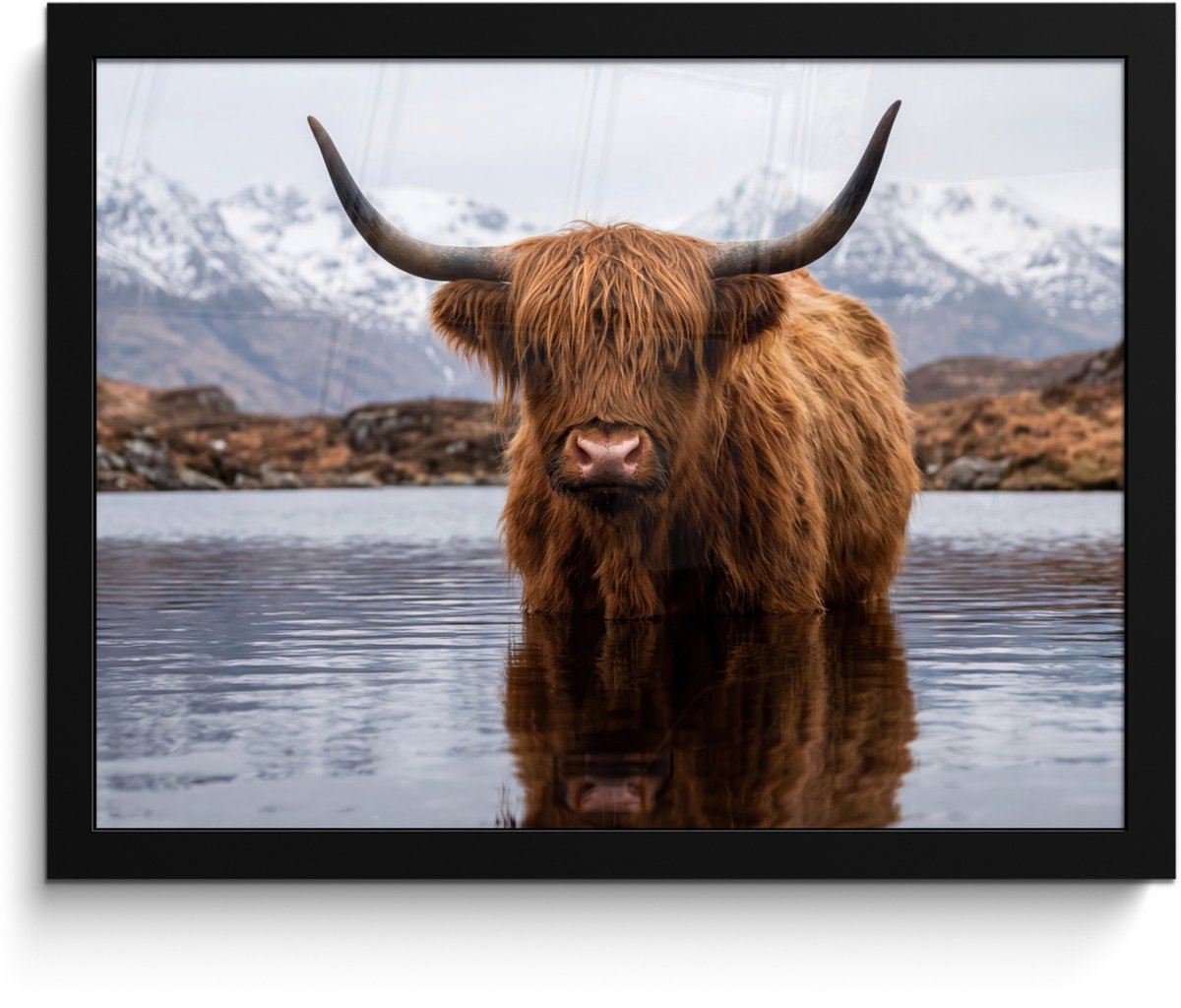 FrameYourWall Poster in lijst - Fotolijst 40x30 cm - Posters - Schotse hooglander - Bruin - Water - Posterlijst zwart - Decoratie - Wanddecoratie woonkamer - Muurdecoratie slaapkamer