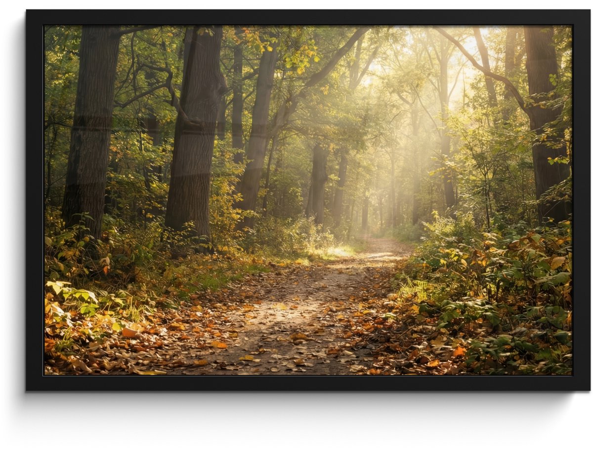 FrameYourWall Poster in lijst - Fotolijst 60x40 cm - Posters - Zonlicht - Bospad - Bomen - Posterlijst zwart - Decoratie - Wanddecoratie woonkamer - Muurdecoratie slaapkamer