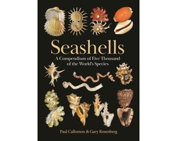 Seashells