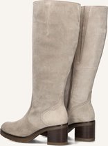 XL laarzen met brede kuit - Nina model. ZwartP24. 37