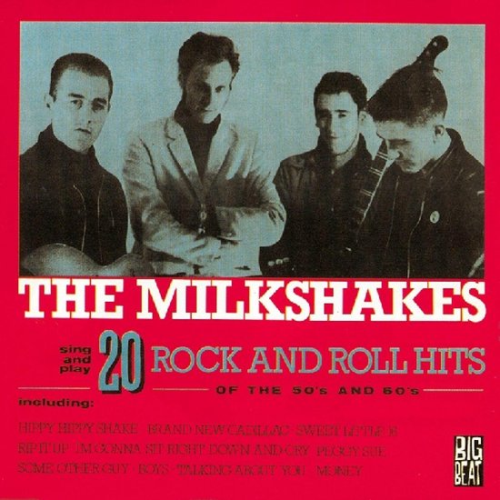 Twenty Rock & Roll Hits Of The 50S And 60S
