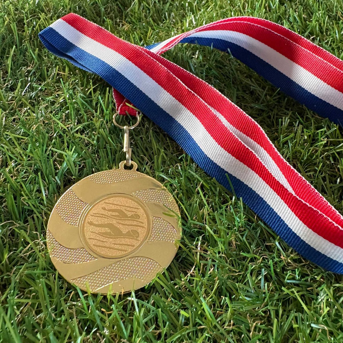 Kampioensmedaille Zwemmen (5 stuks) - Medaille met neklint - Sportprijzen voor kampioenen