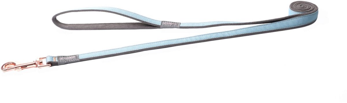 Rogz Urban Lijn Turquoise - Hondenriem - L