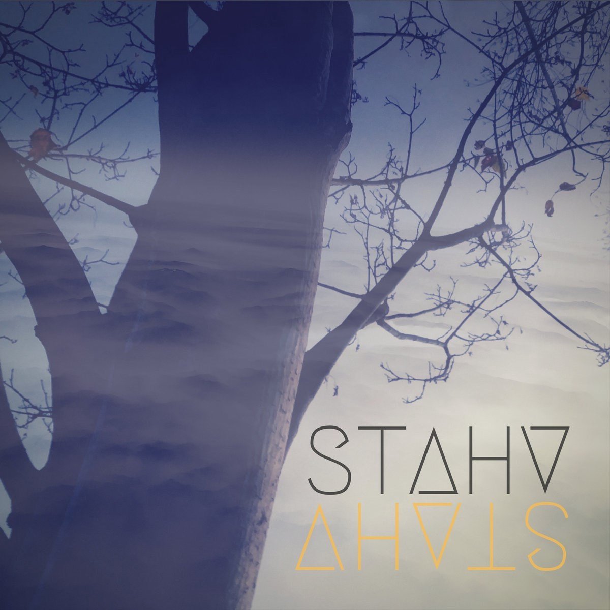 Stahv