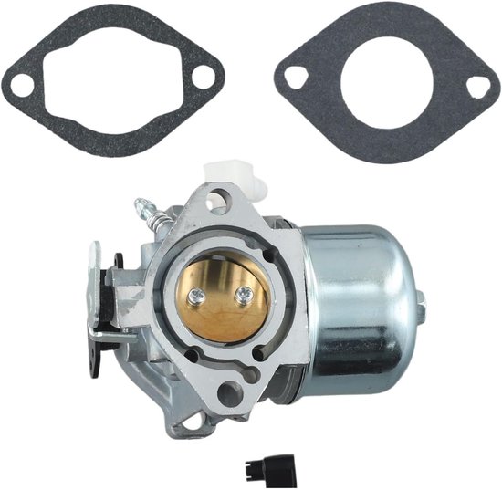 Carburateur Geschikt voor Briggs Stratton 699831 283702 694941 brandstofbesparende en acceleratiepompen