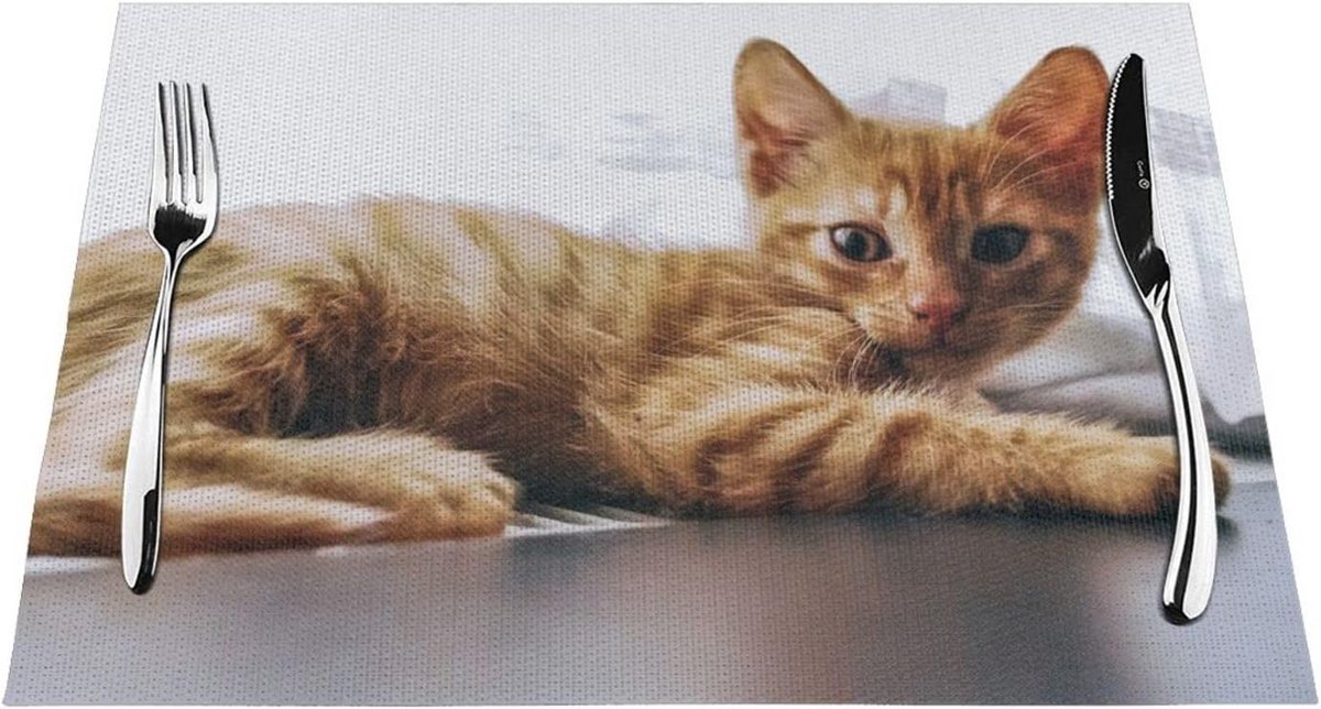 Set van 4 PVC Placemats met Kattenprint - Wasbaar & Hittebestendig Tafelmatten 45x30 cm