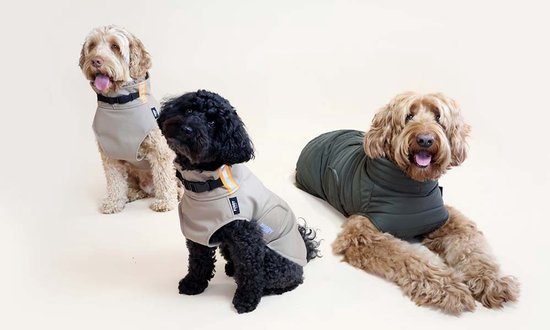 Drie honden in Furry Original jassen. Een zwarte hond in een beige jas, een witte hond in een beige jas en een bruine hond in een groene jas.