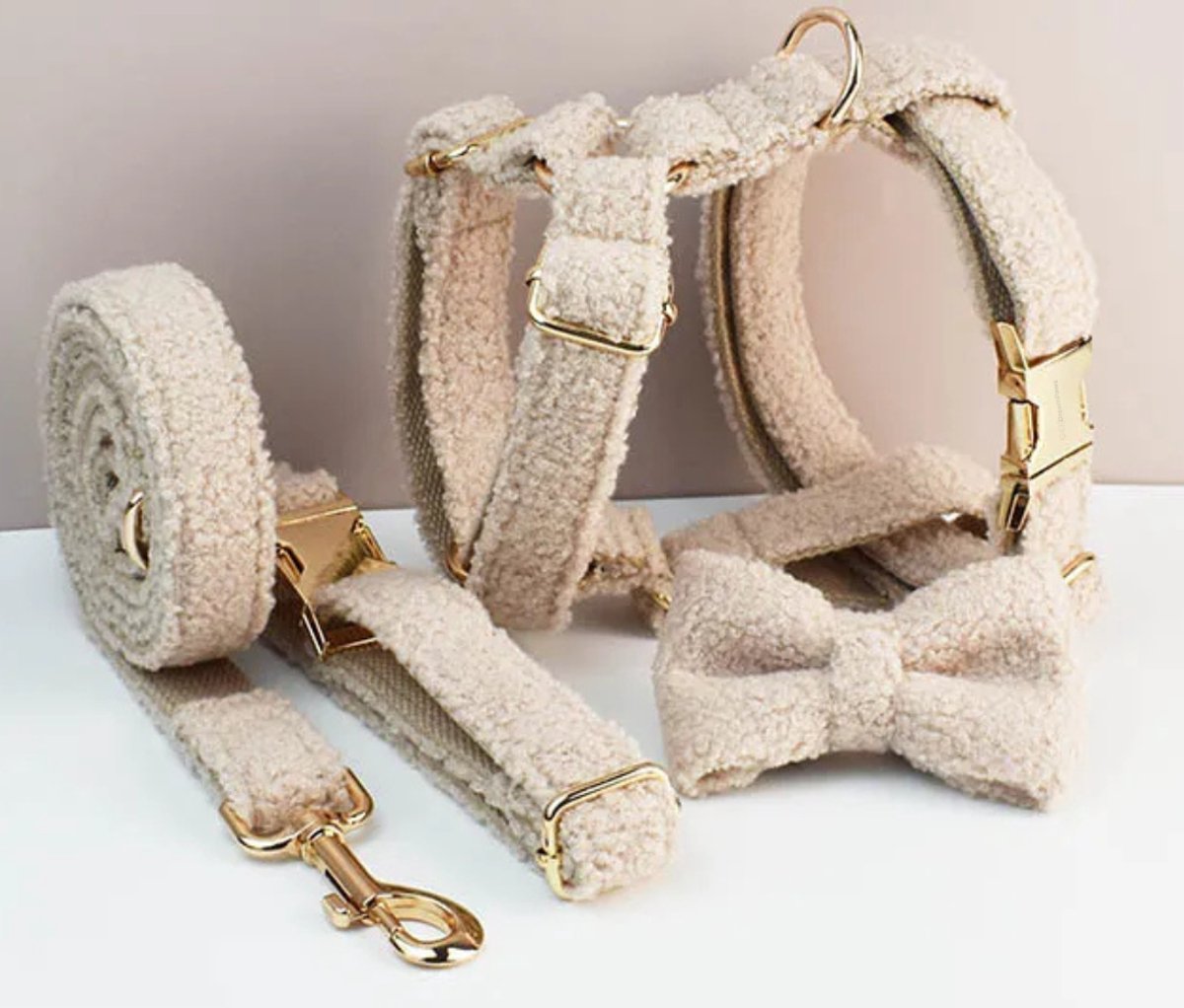 DreamPawz - Teddy Ready - 4-Delige Set met Tuigje, Halsband, Strik en Riem - Harnas voor kleine honden - Licht Beige - S