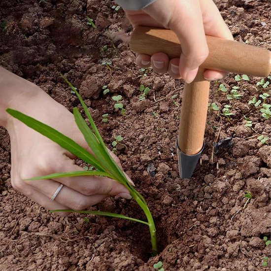 Handmatige bloembollenplanter, zaaistok, tuinstok, plantstok voor in de tuin, gegalvaniseerde aluminium bloembollenplanter, geschikt voor het planten van tulpen, narcissen, dahlia's en andere bloemen. van Merkloos	 — afbeelding 2