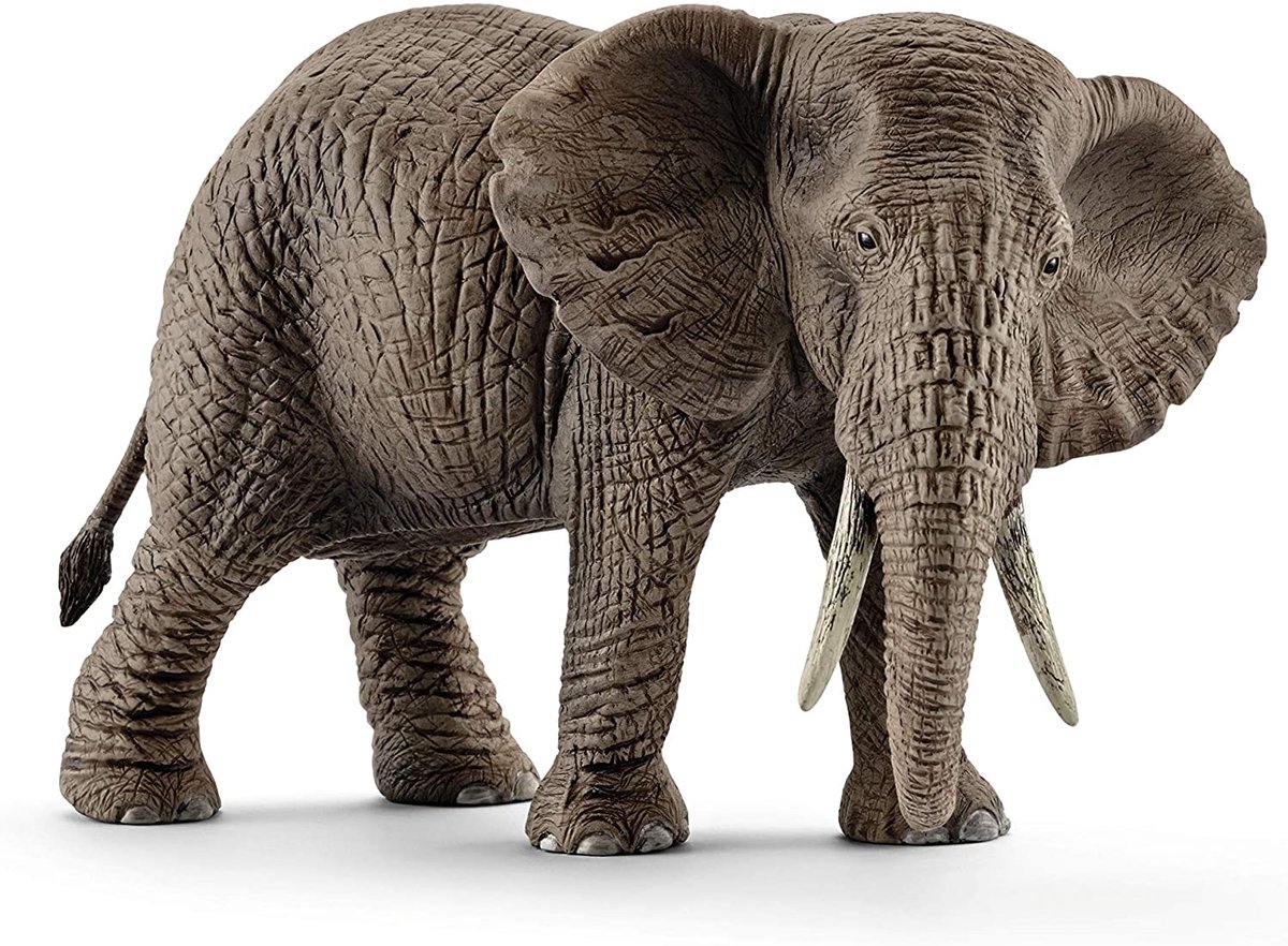 Schleich Wild Life - Afrikaanse olifante - Speelfiguur - 14761� — afbeelding 9