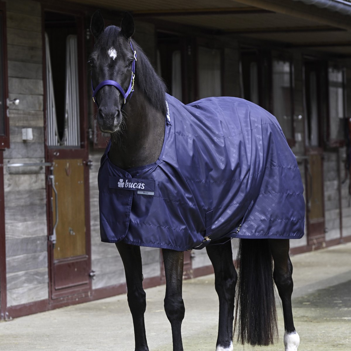 Paardendeken Bucas 0g