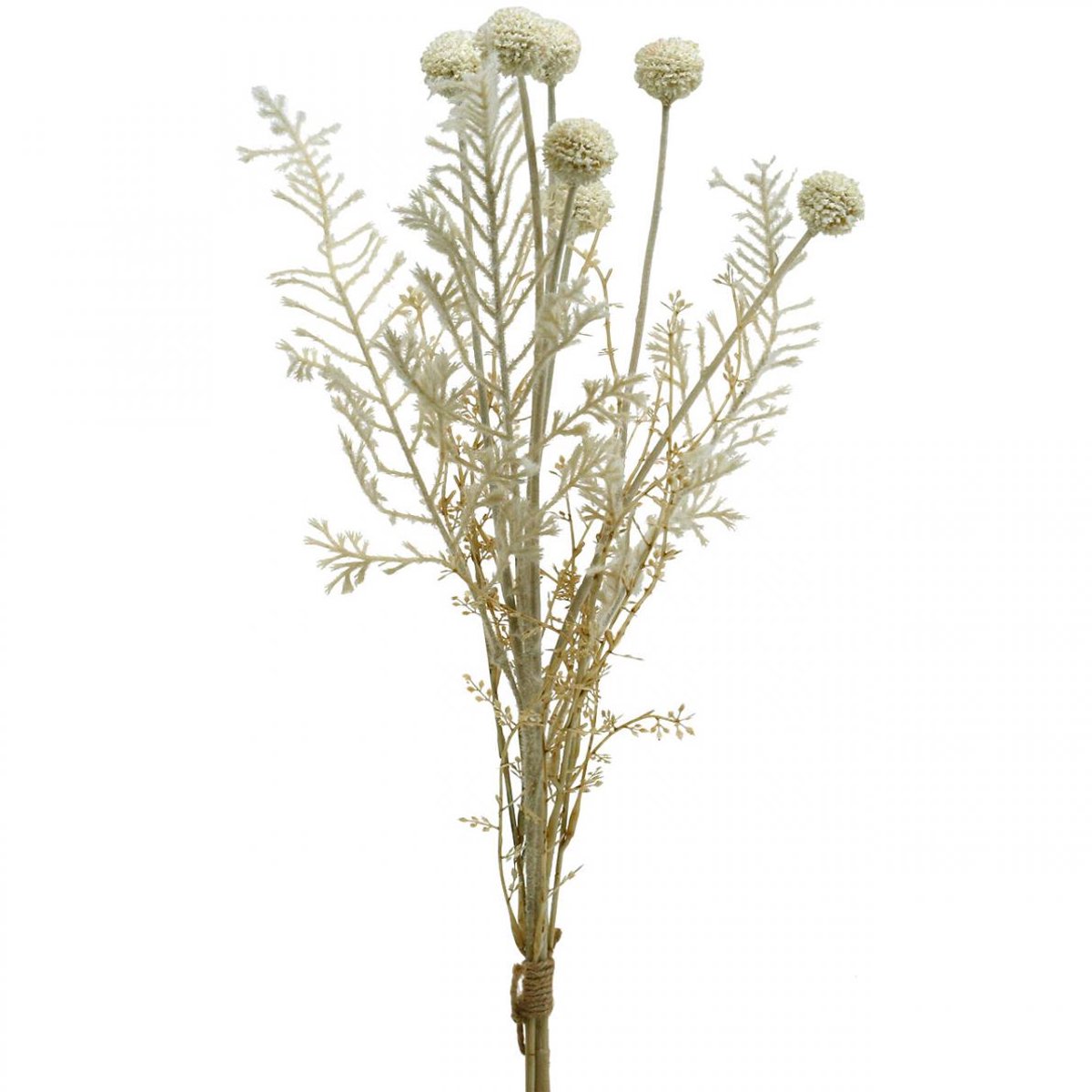 Viana Droog gras pampagras kunstgras allium crème, beige H60cm