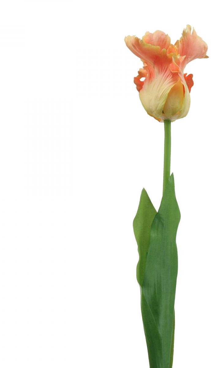 Viana Kunstbloem papegaai tulp oranje lentebloem 63cm