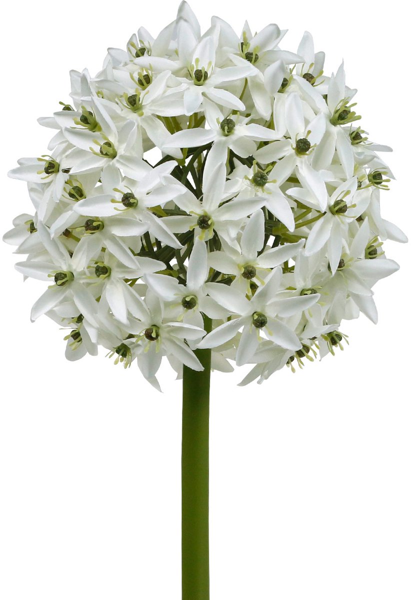 Viana Sierbloem Allium, kunstbal prei, sierui wit Ø20cm L72cm
