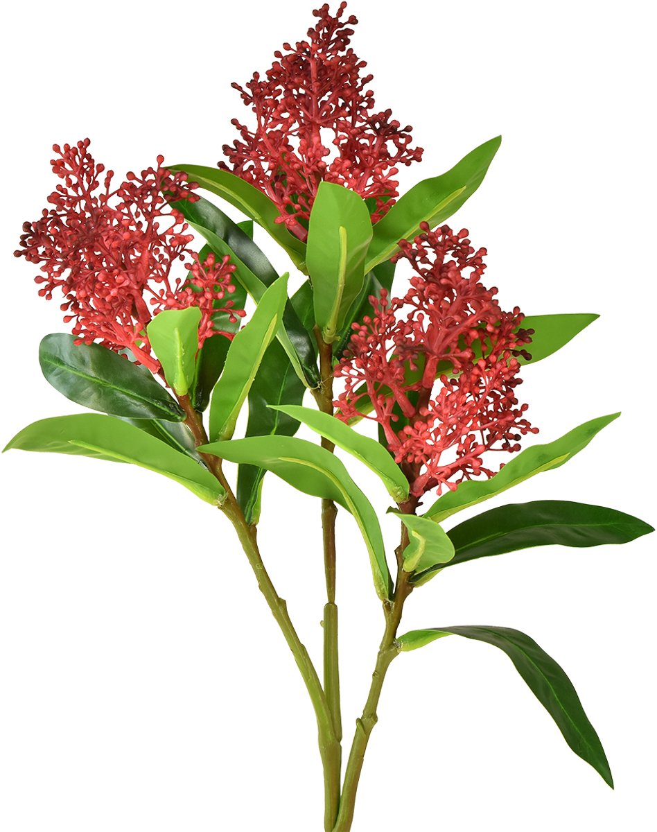Viana Kunstbloemen Rood Skimmia japonica Skimmie 45cm 2st