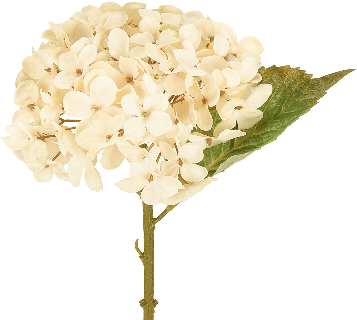 Viana Decoratieve hortensia's kunstcrème zijden bloemen 34cm 2 stuks Beige