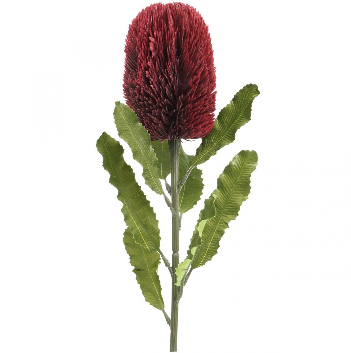 Viana Kunstbloem Banksia Rood Bordeaux Kunst Exoten 64cm