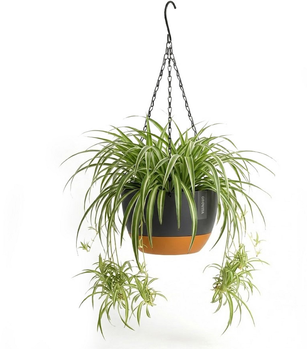 Hangpot met Afwatering - Zwart - Ø 29 cm x H 16,5 cm - Ook Geschikt Als Bloempot - Voor Binnen en Buiten - Waterreservoir