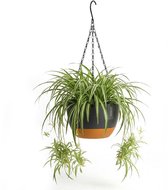 Pot suspendu avec drainage - Zwart - Ø 29 cm x H 16,5 cm - Convient également comme pot de fleurs - Pour l'intérieur et l'extérieur - Réservoir d'eau