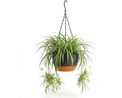 Hangpot met Afwatering - Zwart - Ø 29 cm x H 16,5 cm - Ook Geschikt Als Bloempot - Voor Binnen en Buiten - Waterreservoir