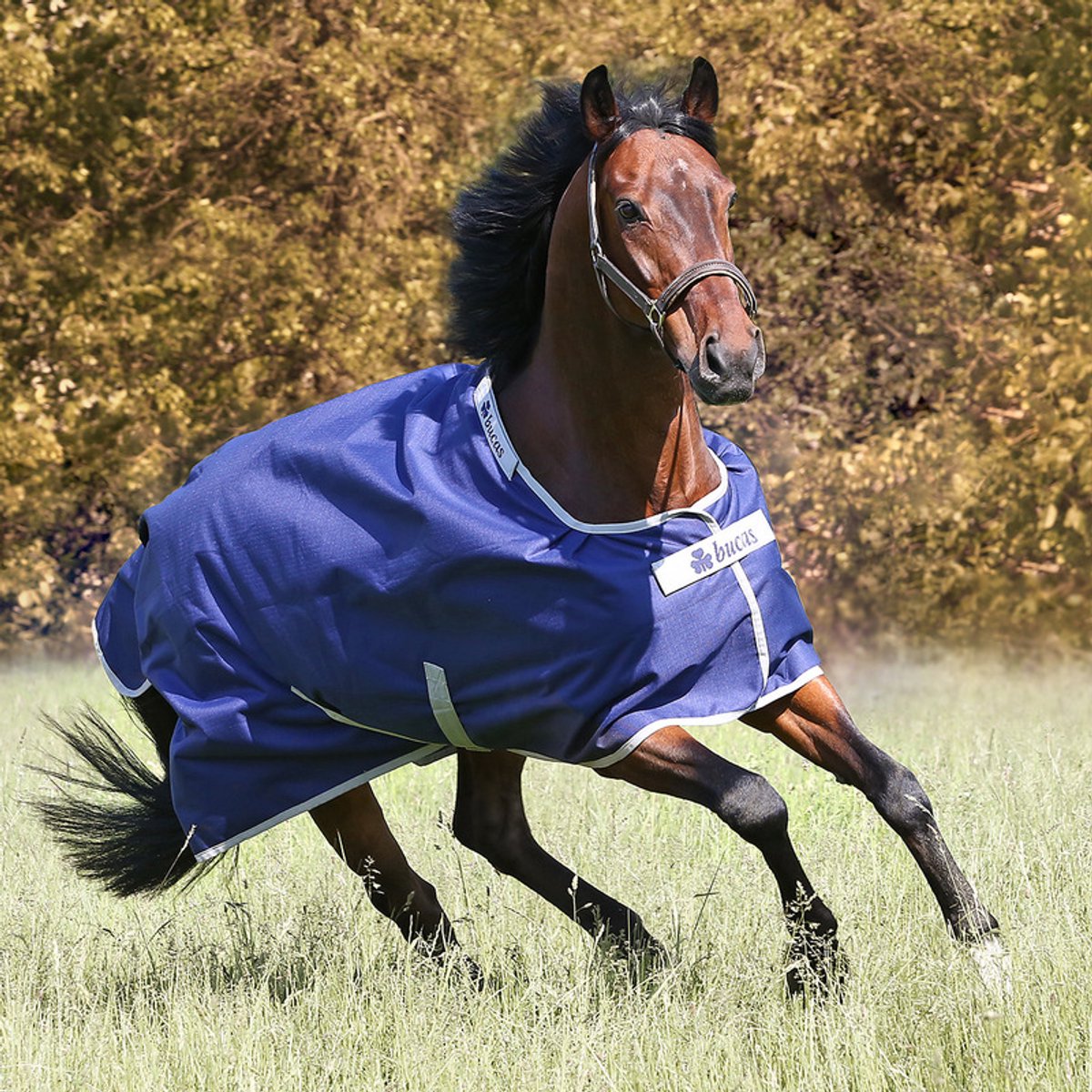 Euroriding Bucas Euroriding Outdoordeken-300 gr. en fleece Bucas 135 / 185