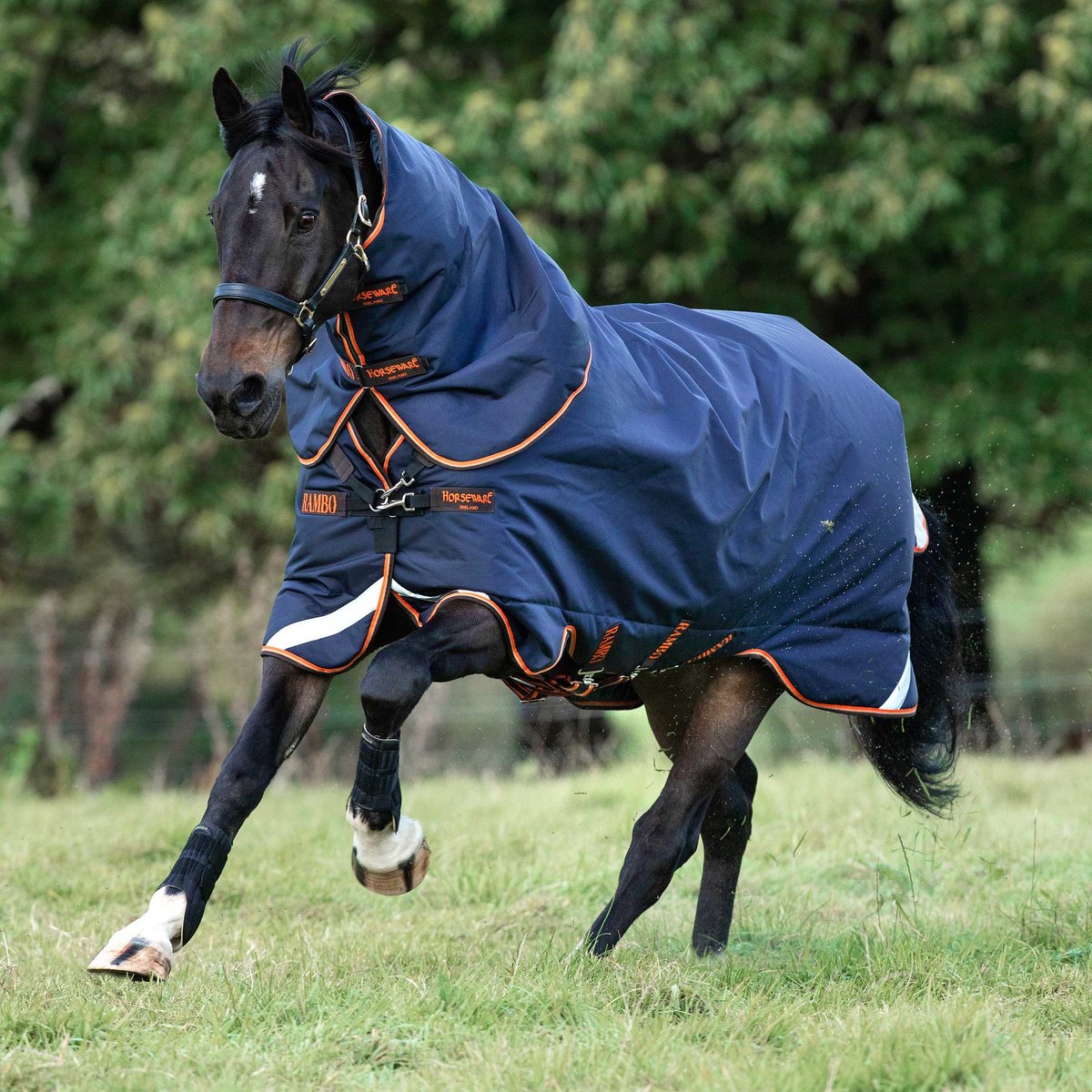 Rambo Supreme Turnout Lite-50 gr.-115-165-Navy-oranje