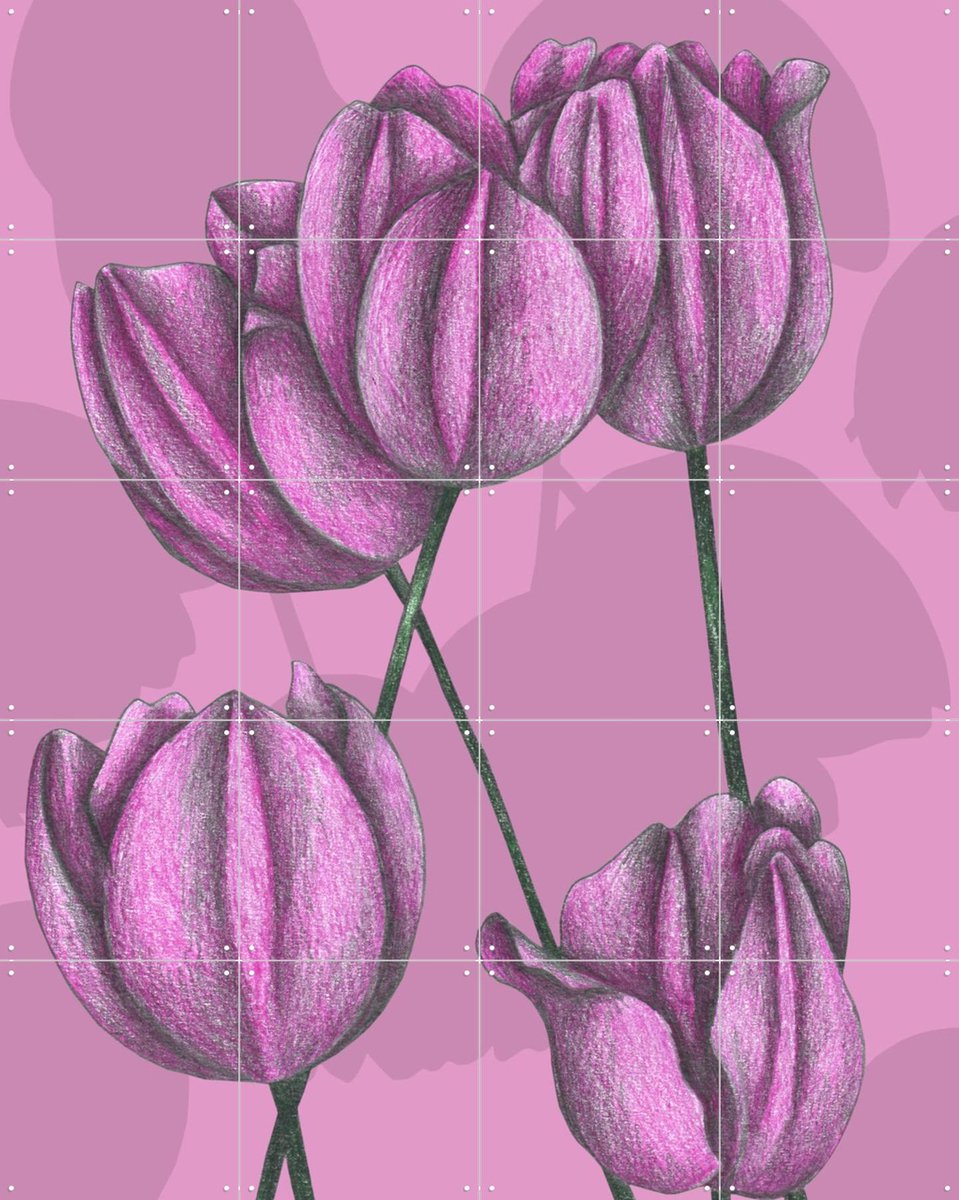 IXXI Purple Tulips, Cecilia Battaini - 80 x 100 cm - Gratis ophangtool - Grote wanddecoratie en posters - Naturalisme, Tekeningen, Illustraties, Gang