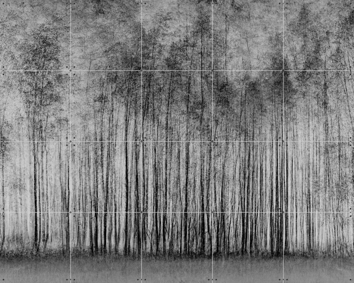 IXXI Impenetrable Forest, Various - 100 x 80 cm - Gratis ophangtool - Grote wanddecoratie en posters - Minimalisme, Fotografie, Woonkamer, Slaapkamer