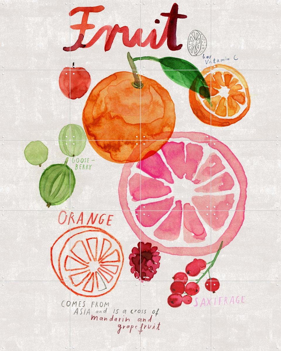 IXXI Fruit, Signorinah - 80 x 100 cm - Gratis ophangtool - Grote wanddecoratie en posters - Kleurrijk, Illustraties, Aquarel, Speels, Woonkamer