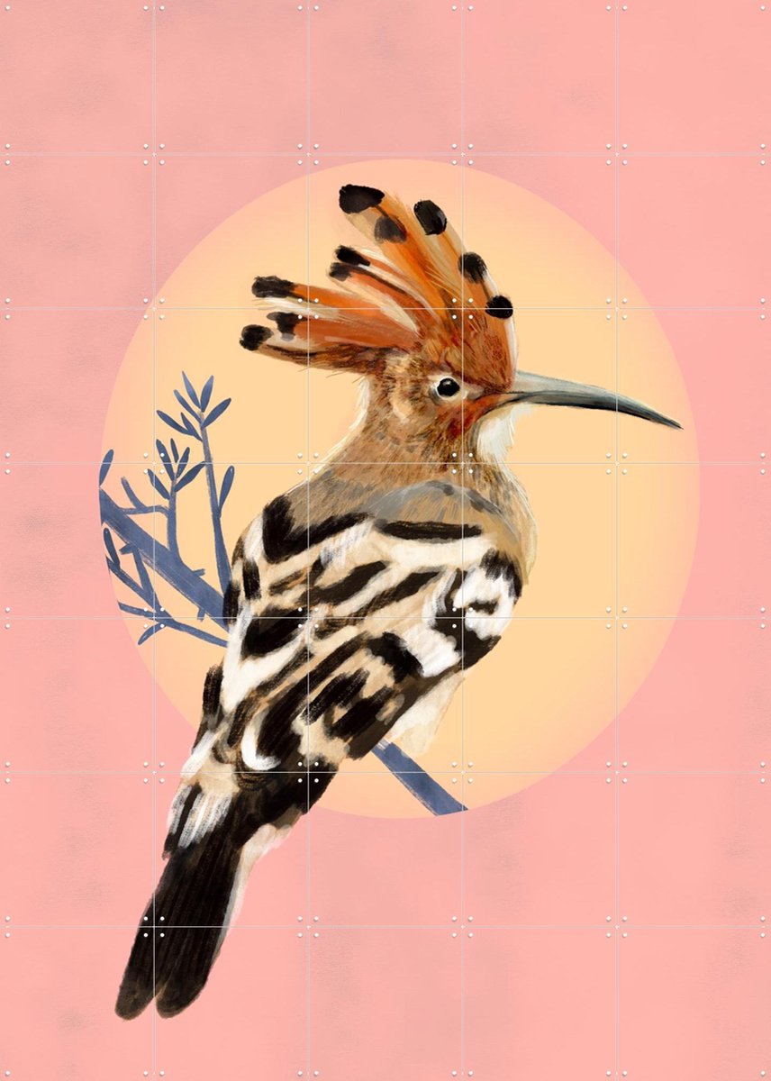 IXXI Hoopoe, Esther Sepers - 100 x 140 cm - Gratis ophangtool - Grote wanddecoratie en posters - Kleurrijk, Speels, Digitale Kunst, Illustraties