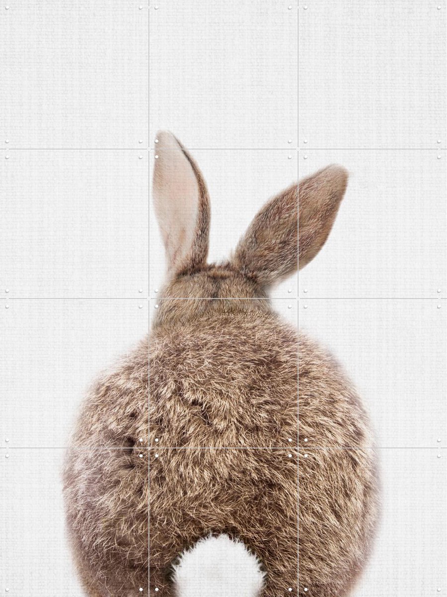 IXXI Print 317 Rabbit, Lila + Lola - 60 x 80 cm - Gratis ophangtool - Grote wanddecoratie en posters - Fotografie, Minimalisme, Woonkamer