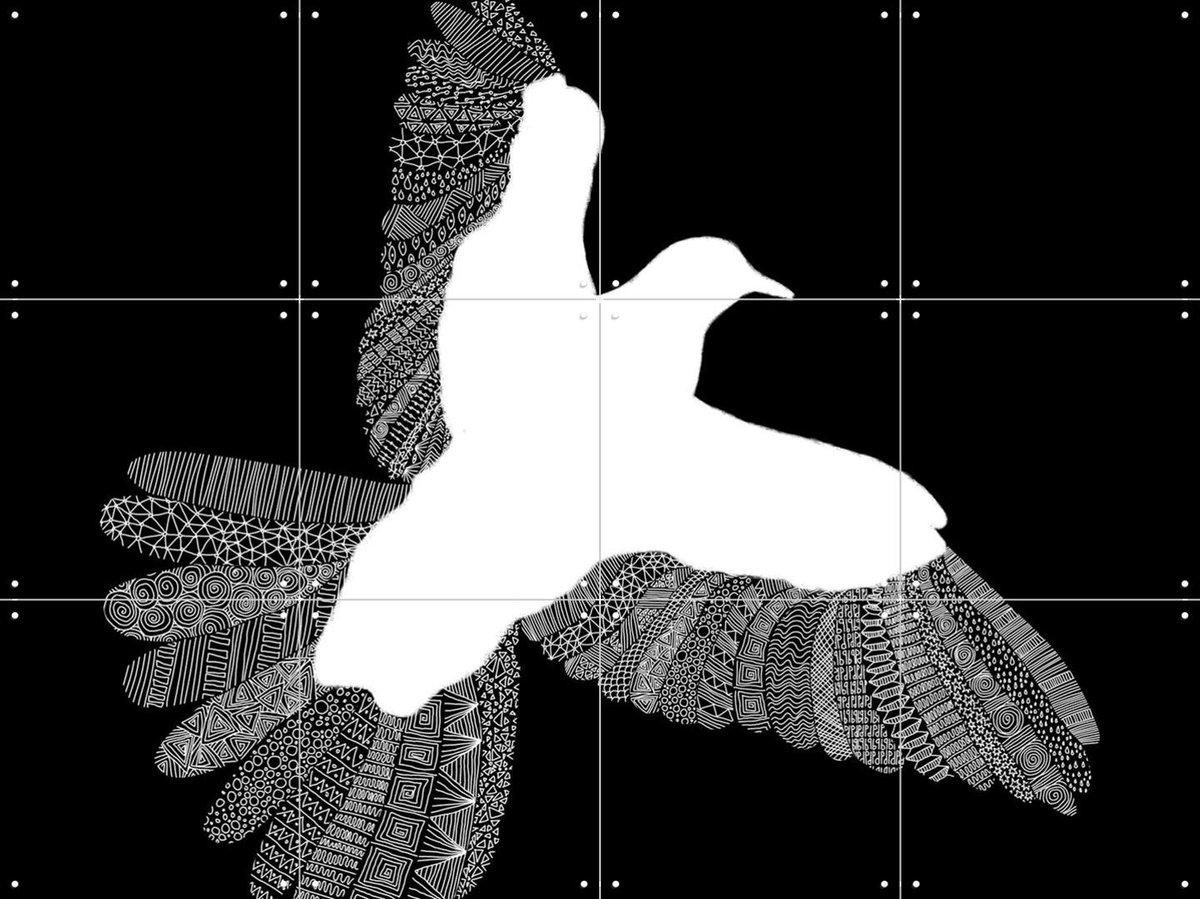 IXXI Bird, Florent Bodart - 80 x 60 cm - Gratis ophangtool - Grote wanddecoratie en posters - Grafisch Ontwerp, Minimalisme, Illustraties, Line art