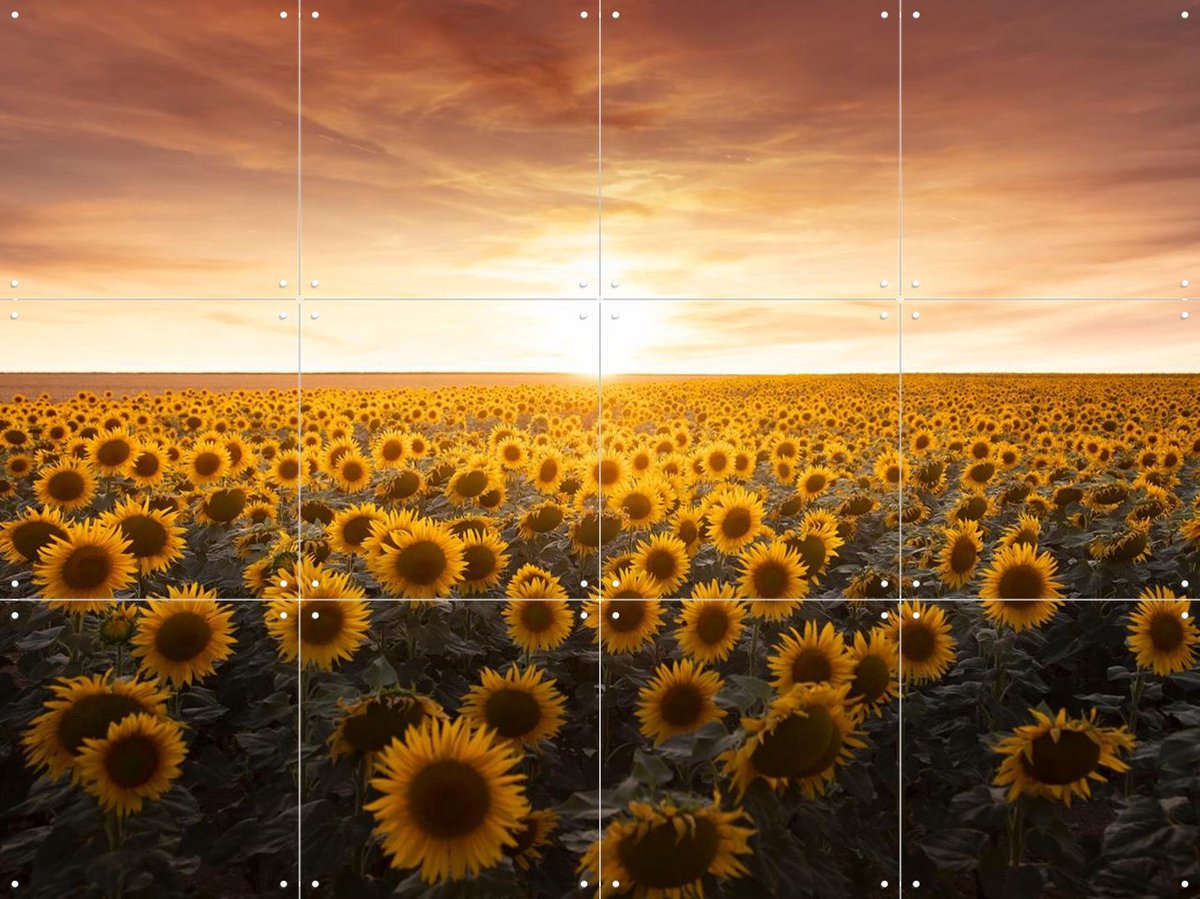 IXXI Sunflower Sunrise France, Claire Droppert - 80 x 60 cm - Gratis ophangtool - Grote wanddecoratie en posters - Impressionisme, Realisme