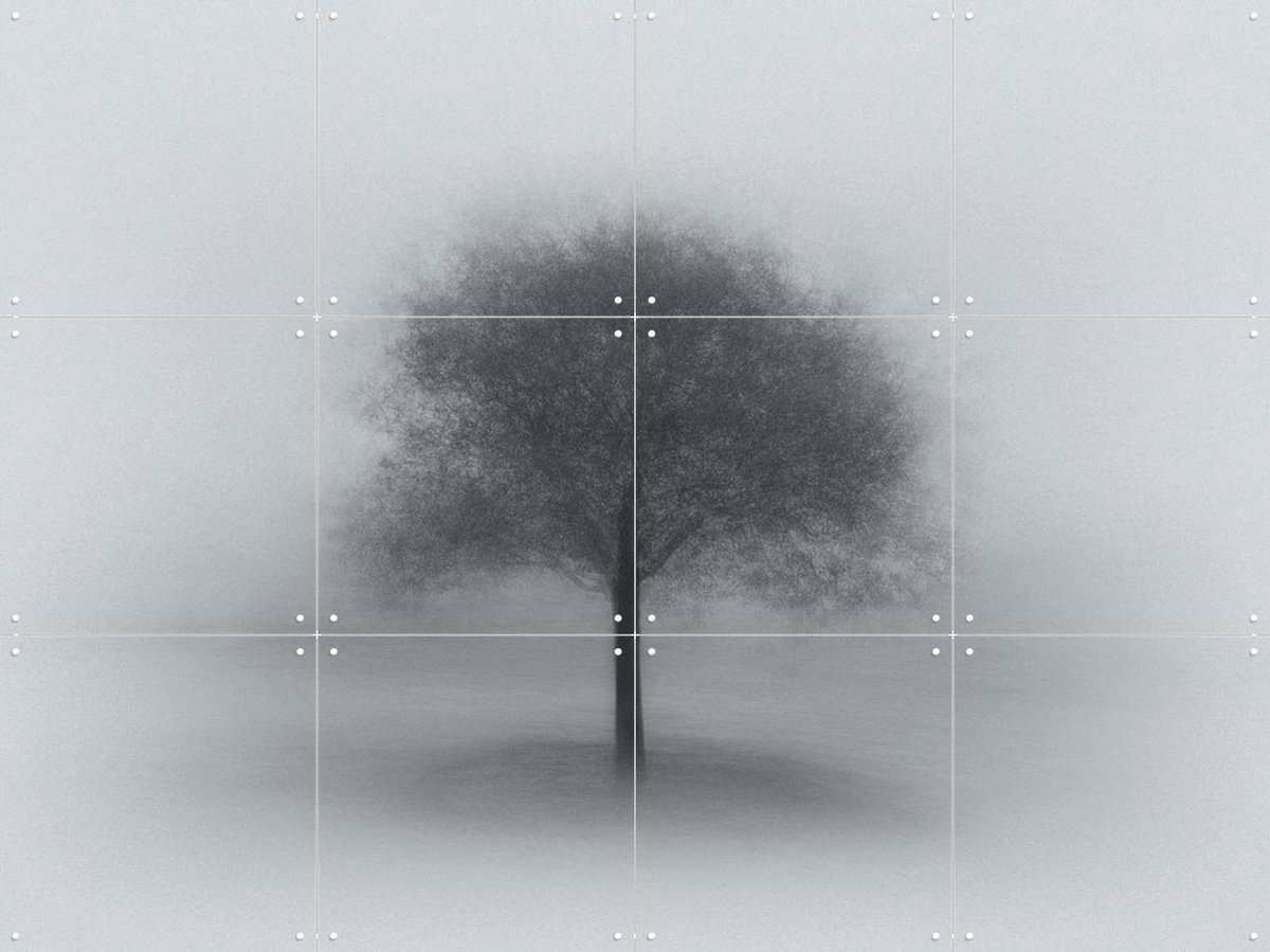IXXI Tree in Fog, Aidong Ning & Various - 80 x 60 cm - Gratis ophangtool - Grote wanddecoratie en posters - Fotografie, Minimalisme, Slaapkamer