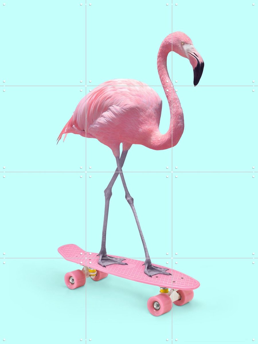 IXXI Skate Flamingo, Paul Fuentes - 60 x 80 cm - Gratis ophangtool - Grote wanddecoratie en posters - Kleurrijk, Surrealisme, Pop art, Grafisch