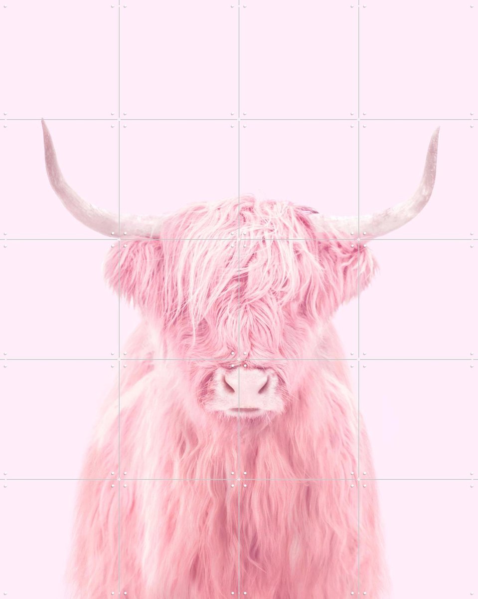 IXXI Highland Cow, Paul Fuentes - 80 x 100 cm - Gratis ophangtool - Grote wanddecoratie en posters - Digitale Kunst, Kleurrijk, Speels, Pop art