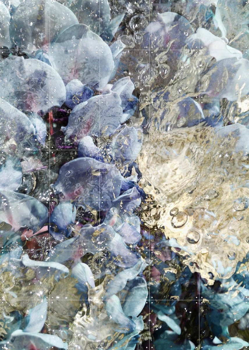 IXXI Serendipity, Angelo Cerantola - 100 x 140 cm - Gratis ophangtool - Grote wanddecoratie en posters - Fotografie, Abstract, Woonkamer, Slaapkamer