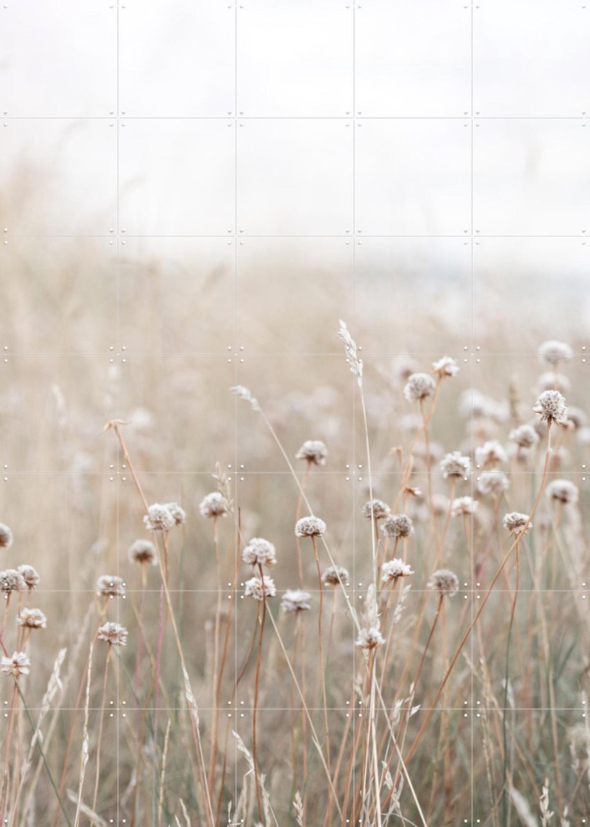 IXXI Coastal Flowers, Mareike Böhmer - 100 x 140 cm - Gratis ophangtool - Grote wanddecoratie en posters - Naturalisme, Minimalisme, Fotografie