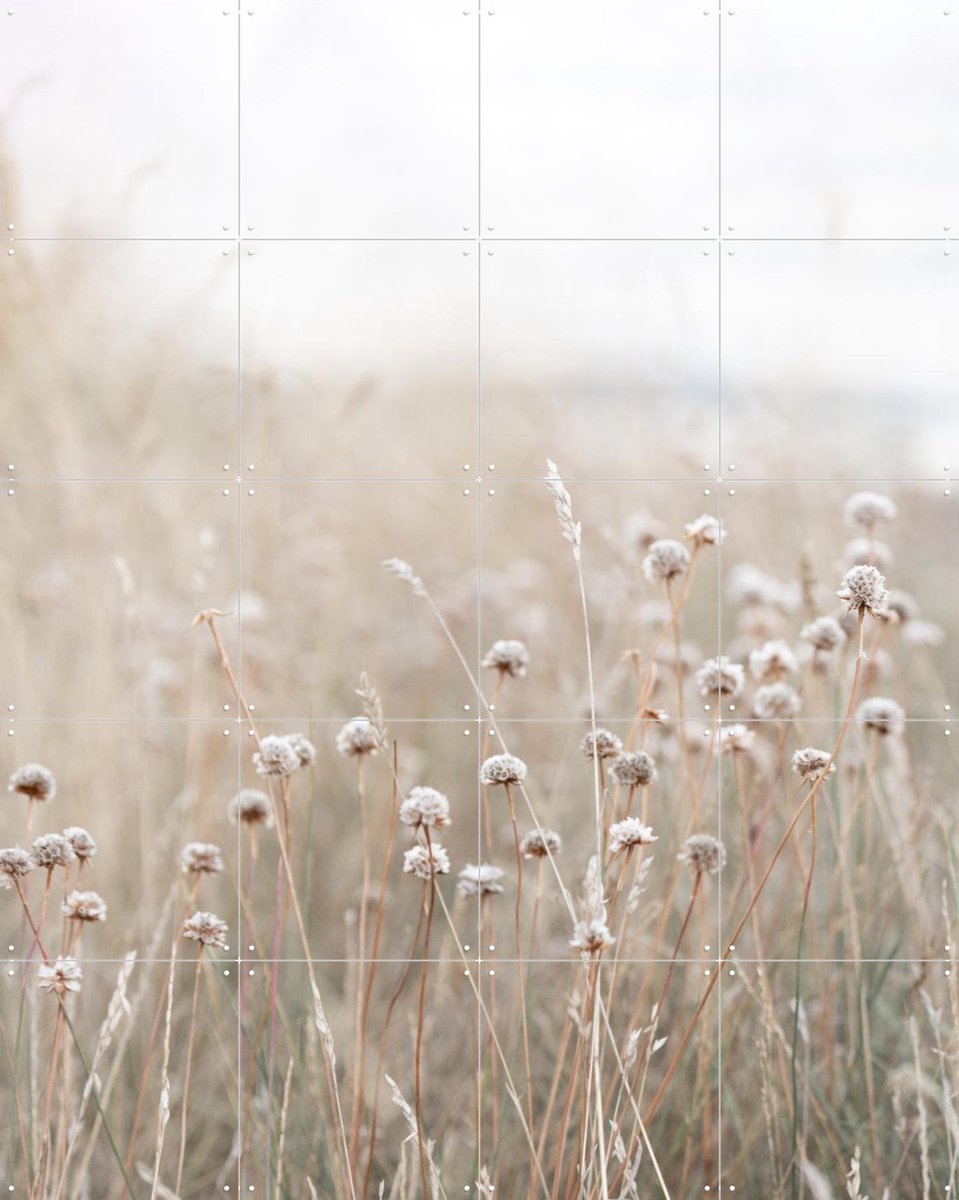 IXXI Coastal Flowers, Mareike Böhmer - 80 x 100 cm - Gratis ophangtool - Grote wanddecoratie en posters - Naturalisme, Minimalisme, Fotografie