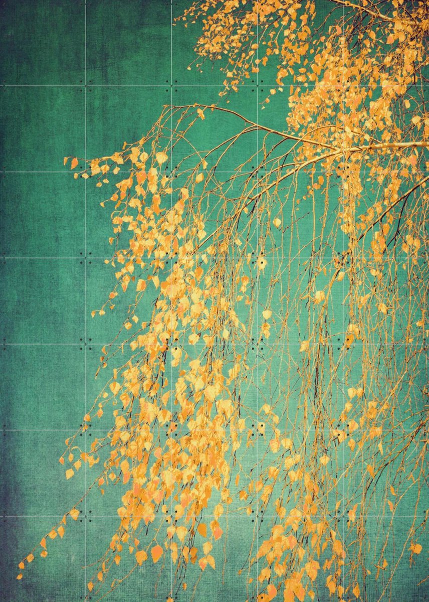 IXXI Silver Birch Tree, Ingrid Beddoes - 100 x 140 cm - Gratis ophangtool - Grote wanddecoratie en posters - Fotografie, Naturalisme, Kleurrijk