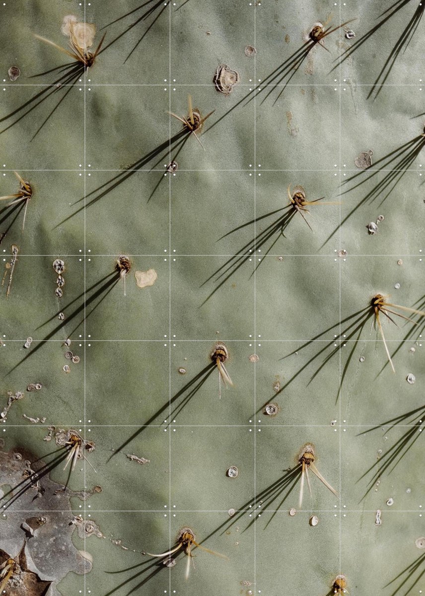 IXXI Cactus Zoom, Chris Abatzis - 100 x 140 cm - Gratis ophangtool - Grote wanddecoratie en posters - Naturalisme, Fotografie, Woonkamer, Mancave