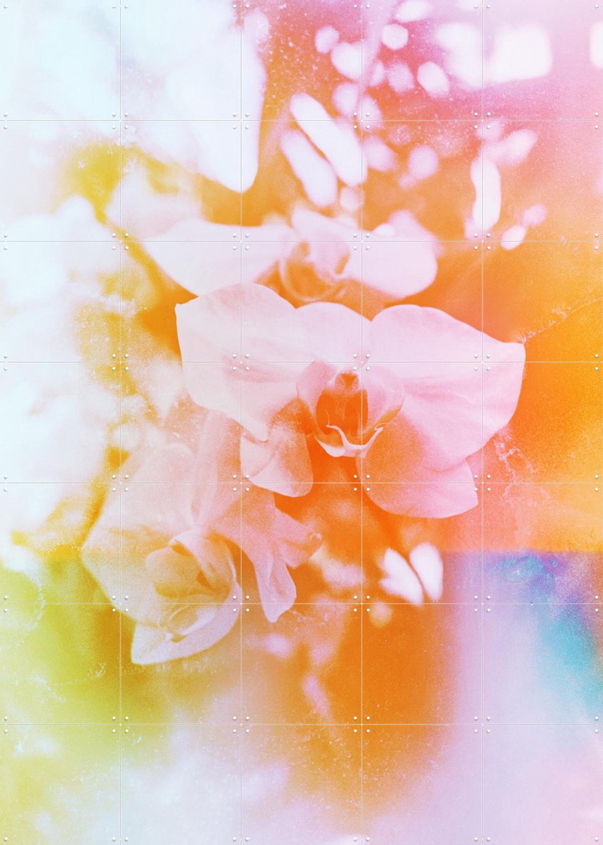 IXXI Evolve, Amber Lauder - 100 x 140 cm - Gratis ophangtool - Grote wanddecoratie en posters - Abstract, Kleurrijk, Fotografie, Slaapkamer