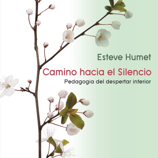 Camino hacia el silencio. Pedagogía del despertar interior - cover