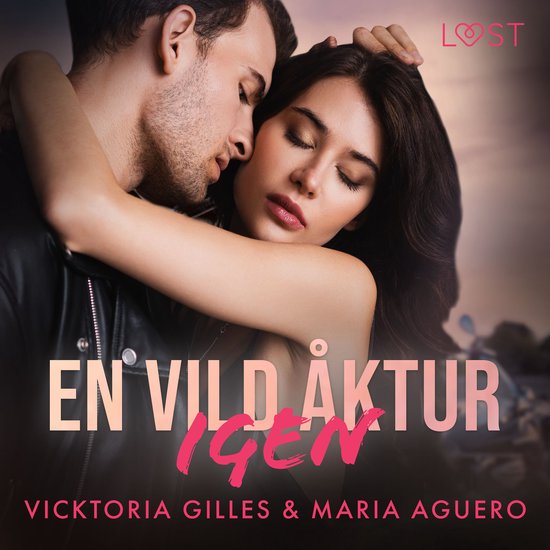 En vild åktur igen - erotisk romance - cover