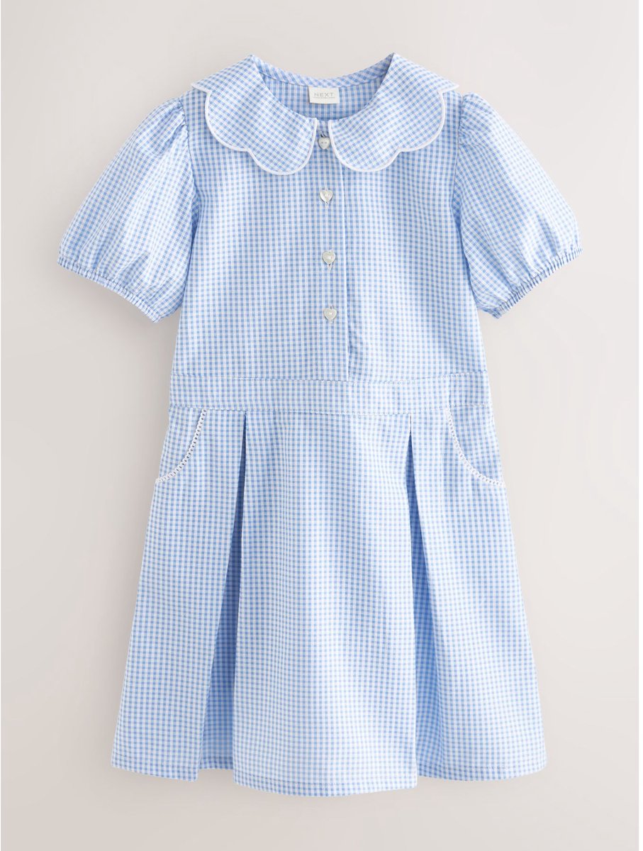 Next - Meisjes - Katoenrijke, gegolfde kraag, ruitjesjurk voor school - Blauw