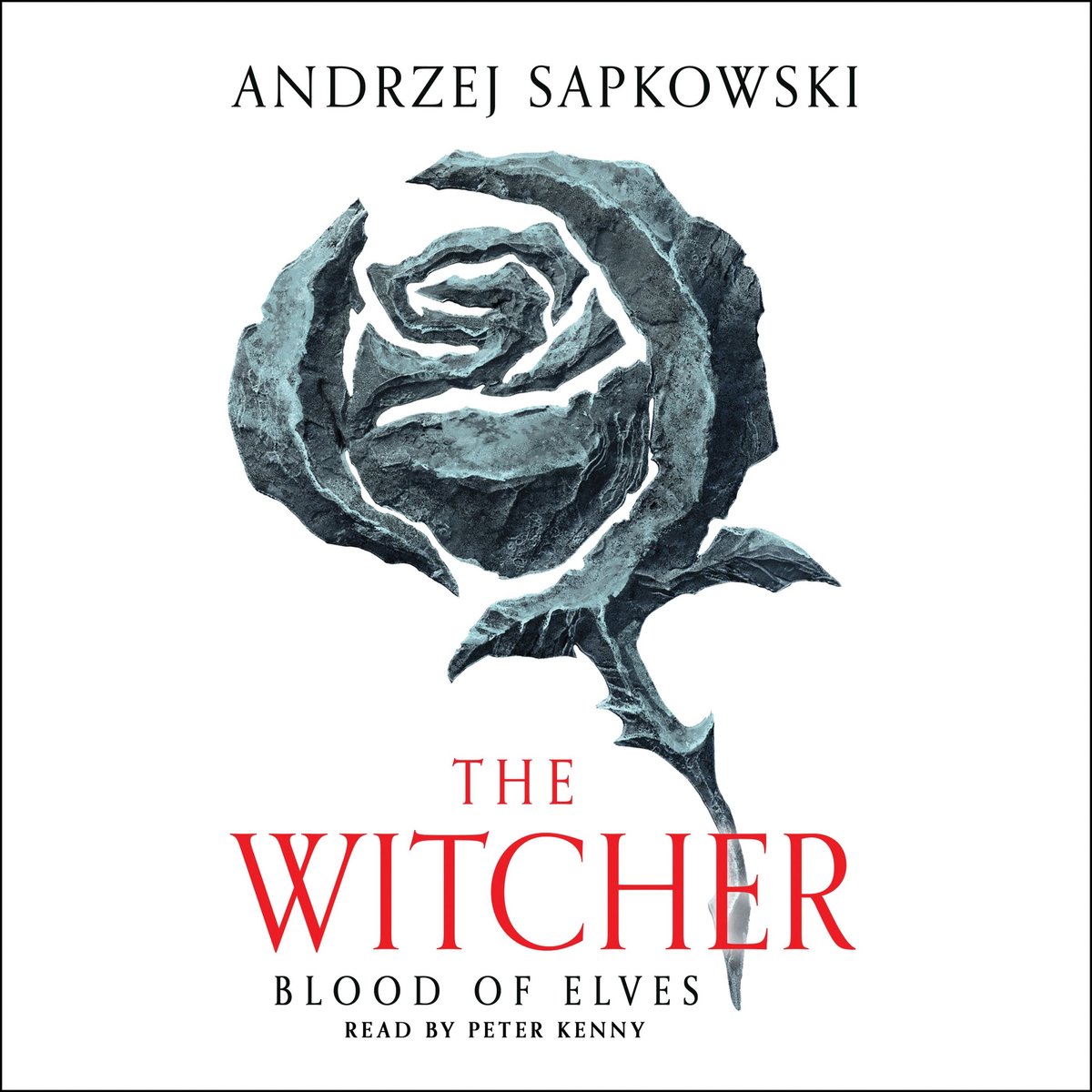 Omslag van The Witcher3- Blood of Elves
