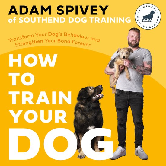 How to Train Your Dog - cover