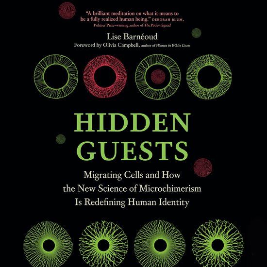 Hidden Guests - cover
