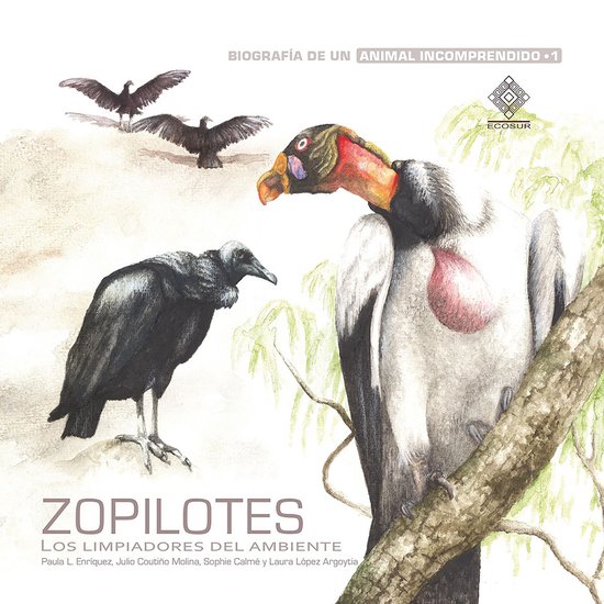 Zopilotes, los limpiadores del ambiente - cover
